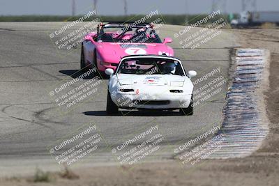 media/Sep-27-2025-24 Hours of Lemons (Sat) [[04fd3ac4ac]]/12pm (Outside Grapevine)/